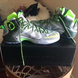 Nike Lebron Basketball shoes